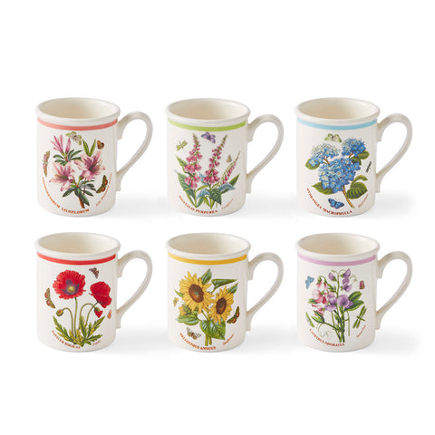 Botanic Garden Meadow - Set of 6 Breakfast Mugs
