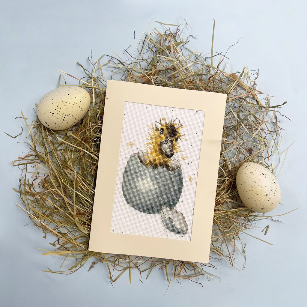 Bothy Threads - Wrendale - Greeting Card Cross Stitch Kit - Peek-a-boo