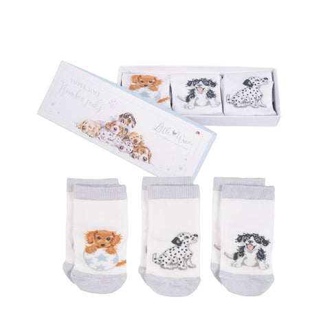 Wrendale - Little Wren Baby Collection - Baby Socks - Gift Box of 3