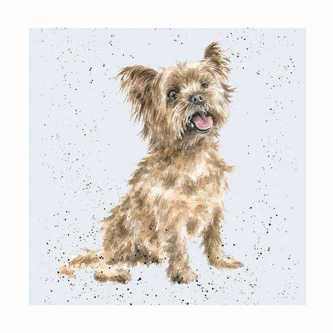 Wrendale - Greeting Cards - A Dog's Life