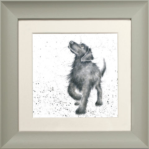 Wrendale - Framed Greeting Cards - The Country Set - Collection 1