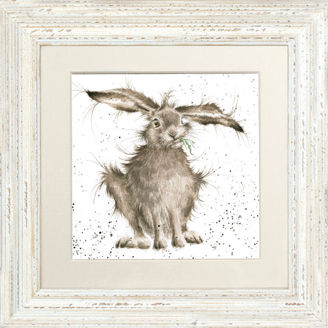 Wrendale - Framed Greeting Cards - The Country Set - Collection 2
