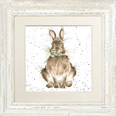 Wrendale - Framed Greeting Cards - The Country Set - Collection 2