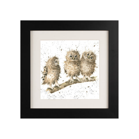 Wrendale - Framed Greeting Cards - The Country Set - Collection 2