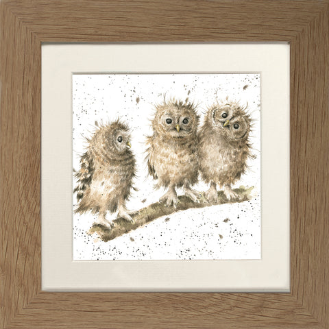 Wrendale - Framed Greeting Cards - The Country Set - Collection 2