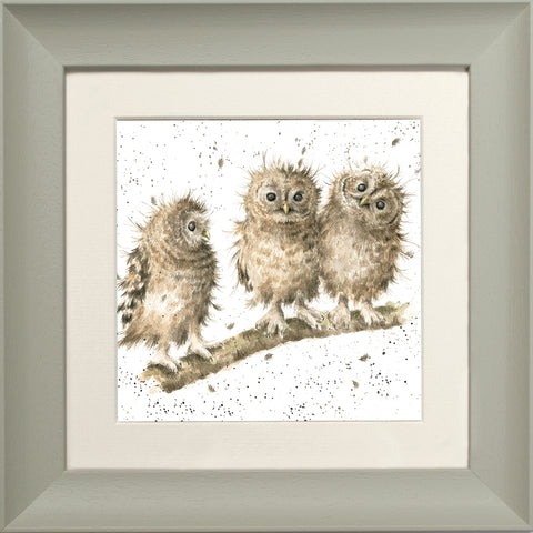 Wrendale - Framed Greeting Cards - The Country Set - Collection 2