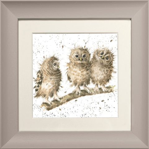 Wrendale - Framed Greeting Cards - The Country Set - Collection 2