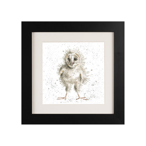 Wrendale - Framed Greeting Cards - The Country Set - Collection 3