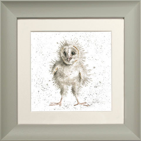 Wrendale - Framed Greeting Cards - The Country Set - Collection 3