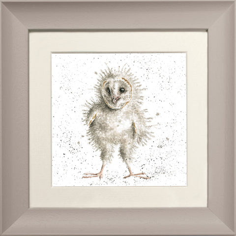 Wrendale - Framed Greeting Cards - The Country Set - Collection 3