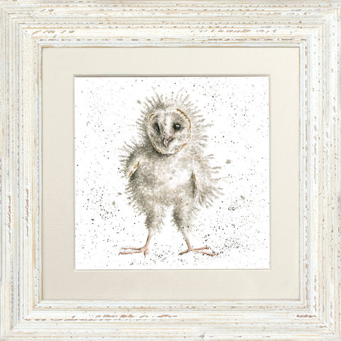 Wrendale - Framed Greeting Cards - The Country Set - Collection 3