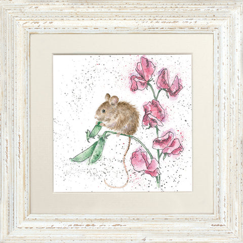 Wrendale - Framed Greeting Cards - The Country Set - Collection 4