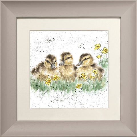 Wrendale - Framed Greeting Cards - The Country Set - Collection 4