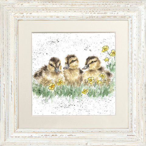 Wrendale - Framed Greeting Cards - The Country Set - Collection 4