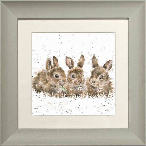 Wrendale - Framed Greeting Cards - The Country Set - Collection 4