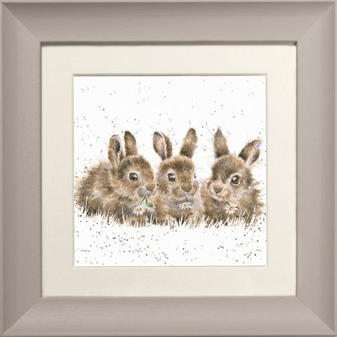 Wrendale - Framed Greeting Cards - The Country Set - Collection 4