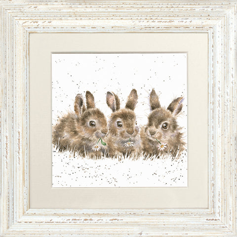 Wrendale - Framed Greeting Cards - The Country Set - Collection 4