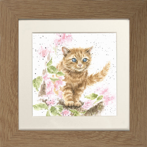 Wrendale - Framed Greeting Cards - The Country Set - Collection 4