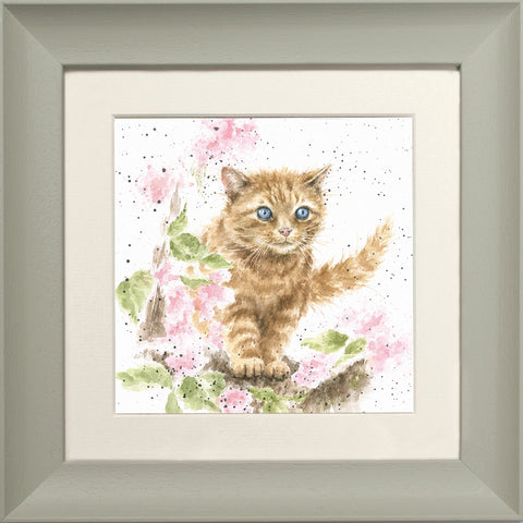 Wrendale - Framed Greeting Cards - The Country Set - Collection 4