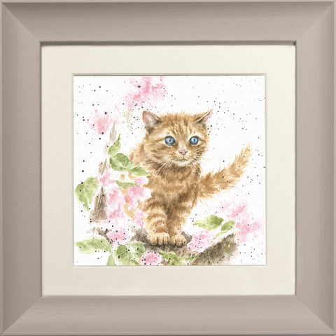 Wrendale - Framed Greeting Cards - The Country Set - Collection 4