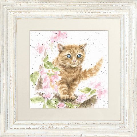 Wrendale - Framed Greeting Cards - The Country Set - Collection 4