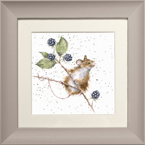 Wrendale - Framed Greeting Cards - The Country Set - Collection 4