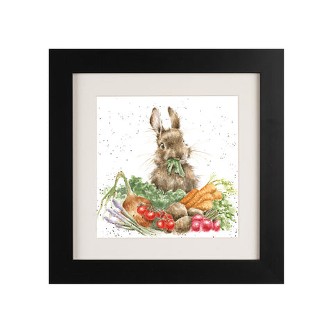 Wrendale - Framed Greeting Cards - The Country Set - Collection 6