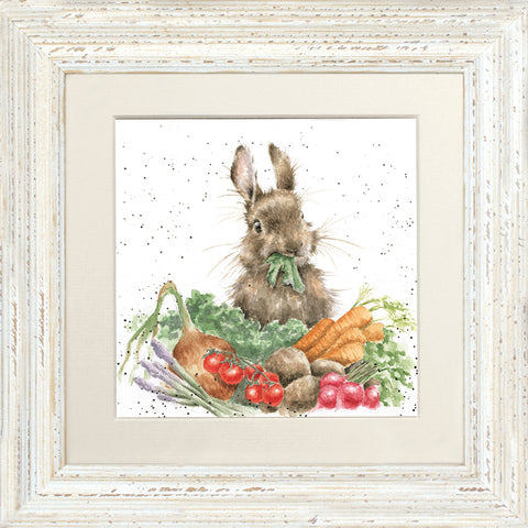 Wrendale - Framed Greeting Cards - The Country Set - Collection 6