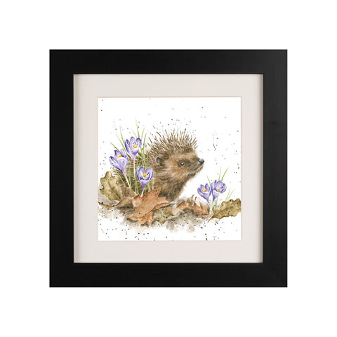 Wrendale - Framed Greeting Cards - The Country Set - Collection 6