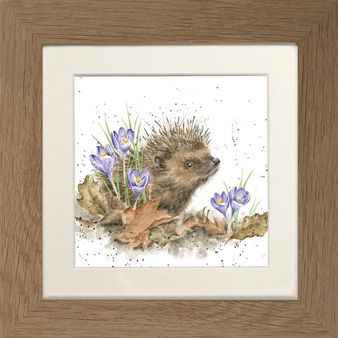 Wrendale - Framed Greeting Cards - The Country Set - Collection 6