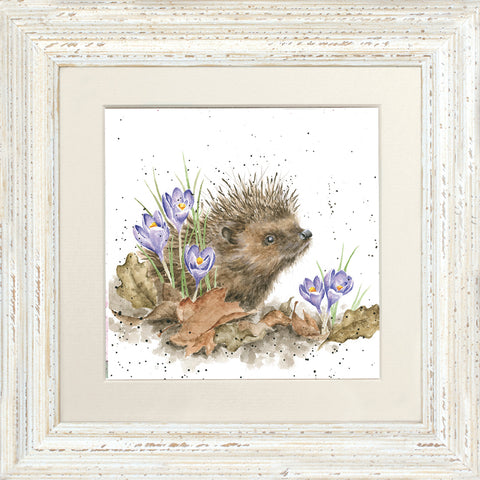 Wrendale - Framed Greeting Cards - The Country Set - Collection 6