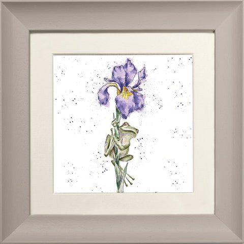 Wrendale - Framed Greeting Cards - The Country Set - Collection 6