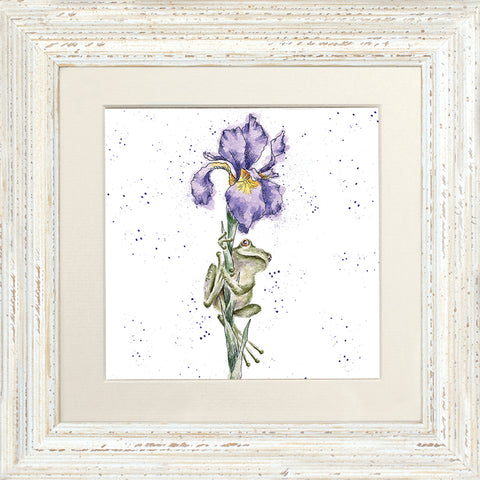 Wrendale - Framed Greeting Cards - The Country Set - Collection 6