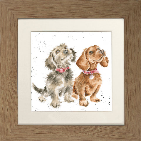 Wrendale - Framed Greeting Cards - The Country Set - Collection 7