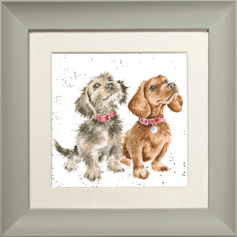 Wrendale - Framed Greeting Cards - The Country Set - Collection 7