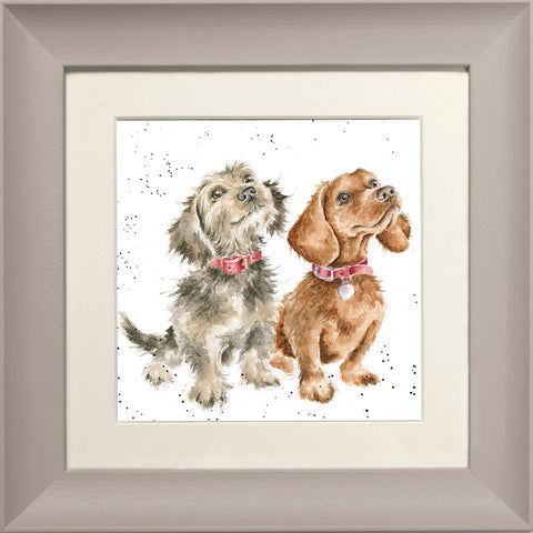 Wrendale - Framed Greeting Cards - The Country Set - Collection 7