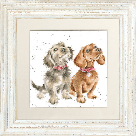 Wrendale - Framed Greeting Cards - The Country Set - Collection 7