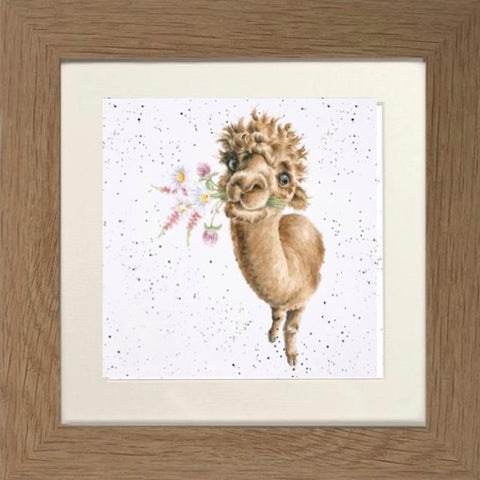 Wrendale - Framed Greeting Cards - The Country Set - Collection 7