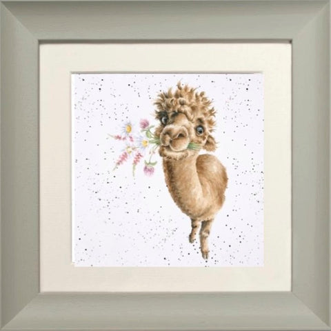 Wrendale - Framed Greeting Cards - The Country Set - Collection 7