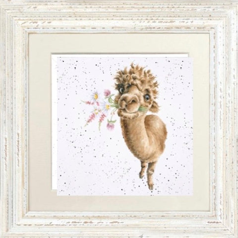 Wrendale - Framed Greeting Cards - The Country Set - Collection 7