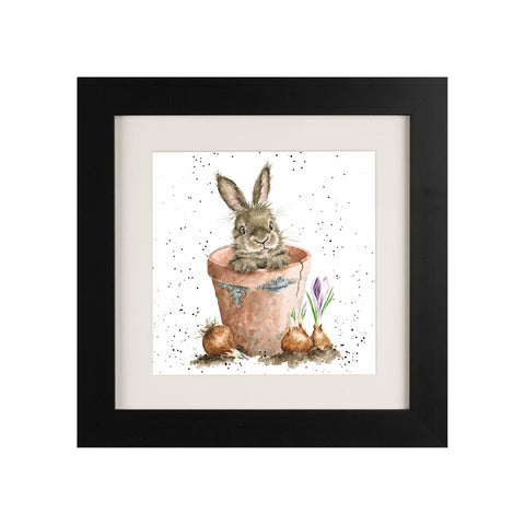 Wrendale - Framed Greeting Cards - The Country Set - Collection 7