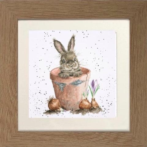 Wrendale - Framed Greeting Cards - The Country Set - Collection 7