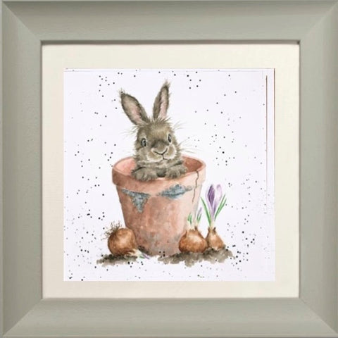 Wrendale - Framed Greeting Cards - The Country Set - Collection 7