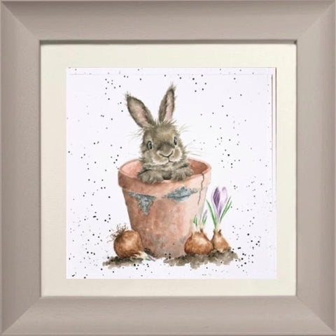 Wrendale - Framed Greeting Cards - The Country Set - Collection 7