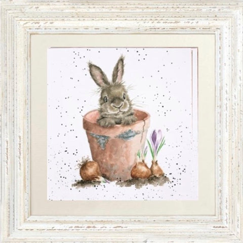 Wrendale - Framed Greeting Cards - The Country Set - Collection 7