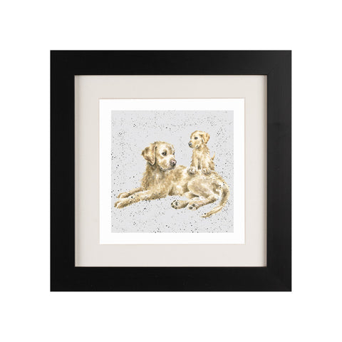 Wrendale - Framed Greeting Cards - A Dog's Life - Collection 1
