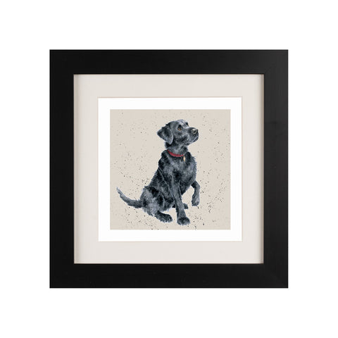 Wrendale - Framed Greeting Cards - A Dog's Life - Collection 1