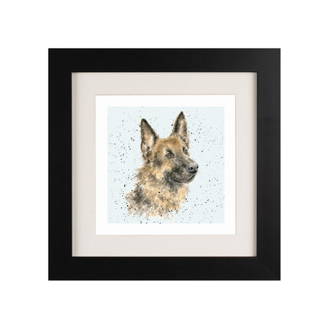 Wrendale - Framed Greeting Cards - A Dog's Life - Collection 1