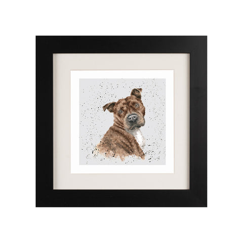 Wrendale - Framed Greeting Cards - A Dog's Life - Collection 1