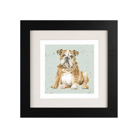 Wrendale - Framed Greeting Cards - A Dog's Life - Collection 1